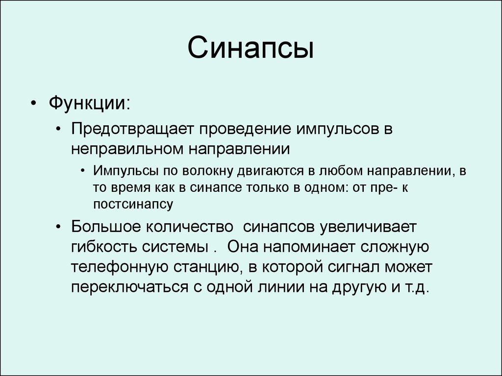 Свойства синапсов. Синапс структура и функции кратко. Функции синапса. Роль синапсов. Функции синапса кратко.