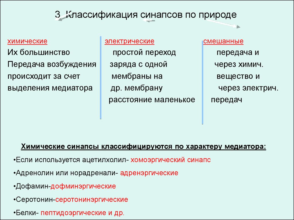 Свойства синапсов. Классификация химических синапсов. Классификация синапсов химические электрические. Классификация синапсов по локализации. Классификация синапсов физиология.