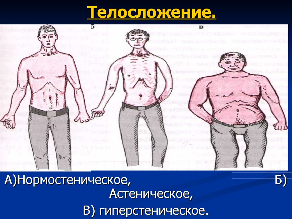 Астенический тип. Типы телосложения астенический нормостенический и гиперстенический. Гиперстенический Тип телосложения. Типы телосложения Астеническое нормостеническое. Астеник Тип телосложения.