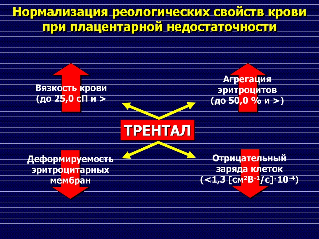 Реология крови презентация