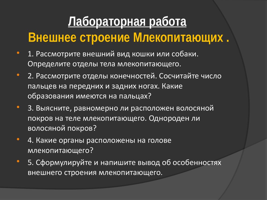 Особенности строения млекопитающих презентация