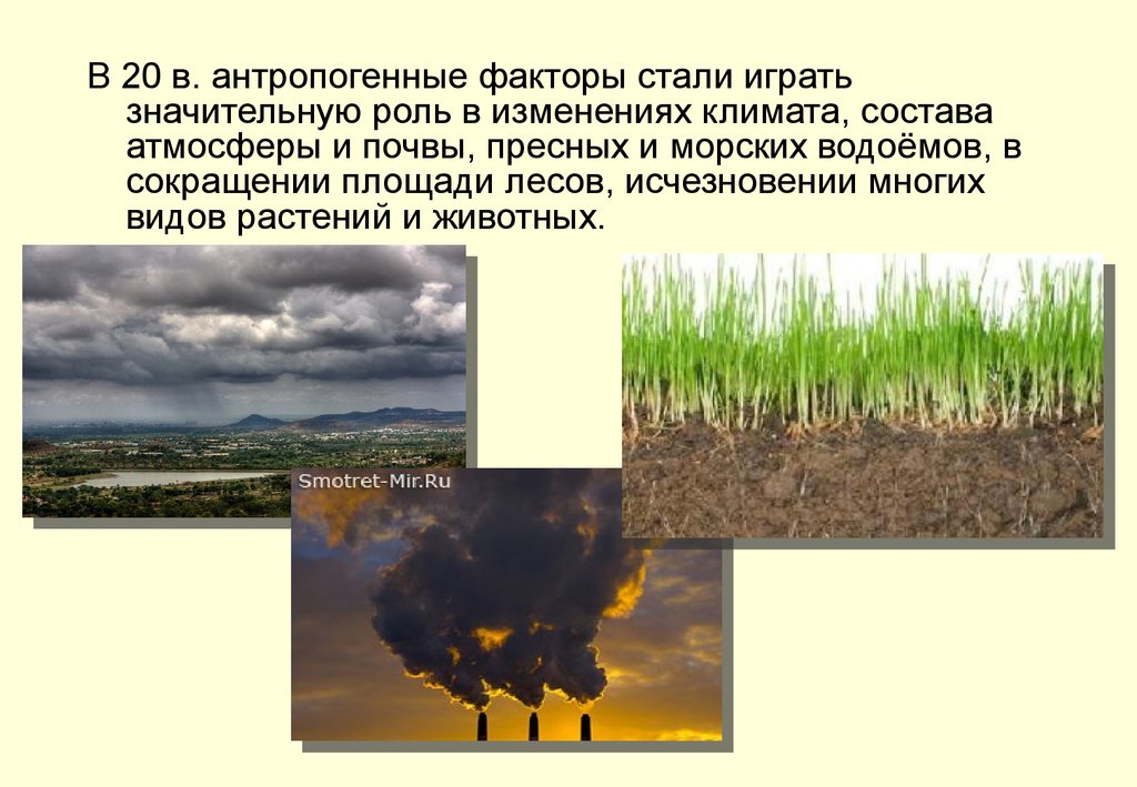 Антропогенное воздействие на растения. Антропогенное изменение климата. Антропогенные факторы изменения климата. Антропогенные изменения в природе это. Антропогенное влияние на природу.