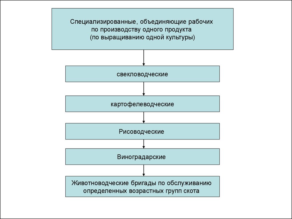 Коллективная организация труда. Это трудовой коллектив организации. Принципы организации трудового коллектива.