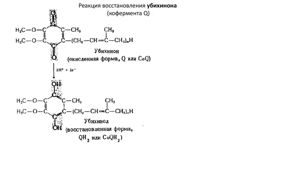 Реакция восстановления. Убихинон окисленная и восстановленная формы. ,Убихинон (окисленная и восстановленная форма,Тип реакции). Реакция восстановления убихинона. Восстановленный убихинон формула.