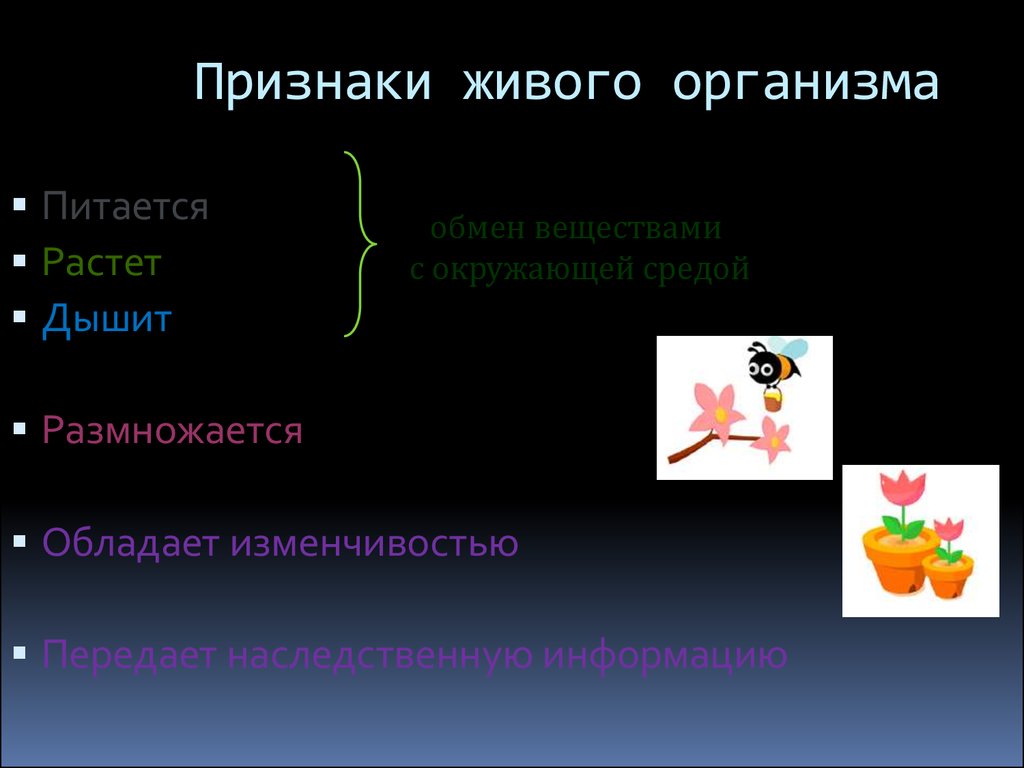 Основные признаки живого. Признаки живого. Признаки живых организмов. Признаки живого организма для дошкольников. Критерии живых организмов.