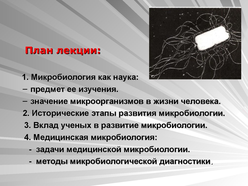 Развитие науки реферат. Лекции по микробиологии. Этапы развития микробиологии как науки. Микробиология лекции. Доклад по микробиологии.