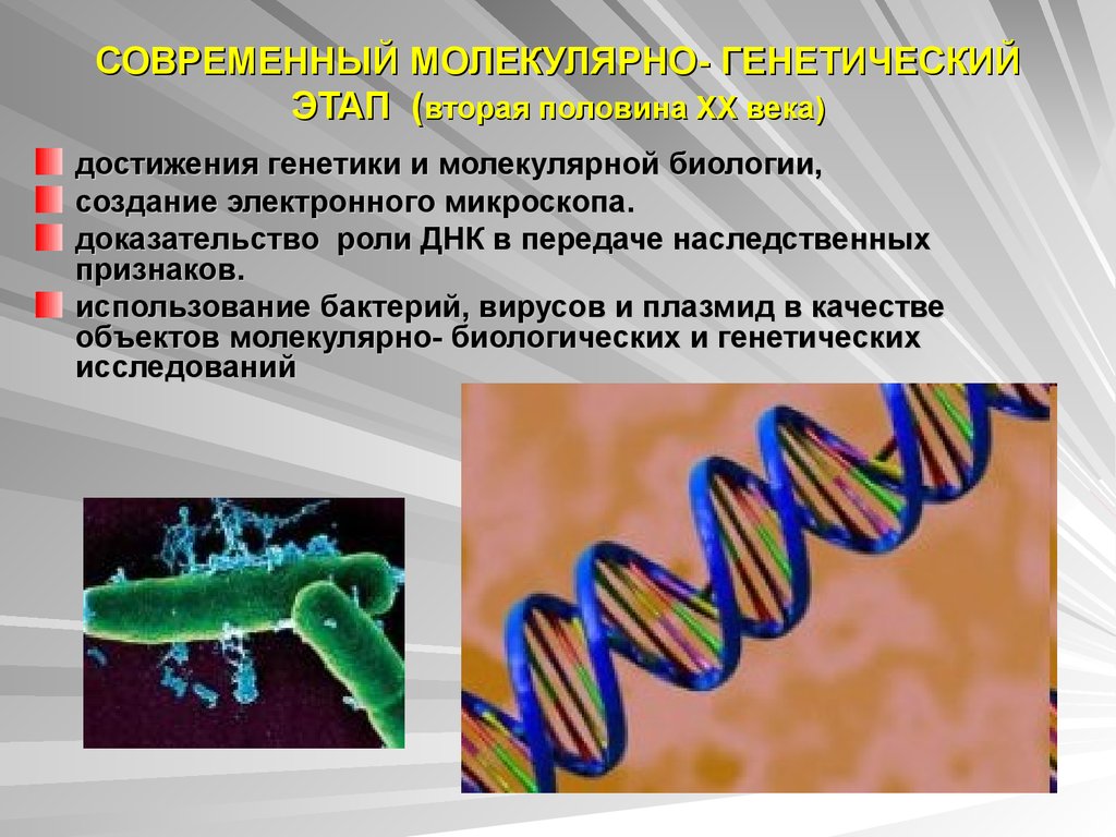 Генетика человека 10 класс биология презентация. Достижения молекулярной биологии. Достижения современной генетики. Методы изучения генетики человека молекулярно-генетический. Методы молекулярной генетики.