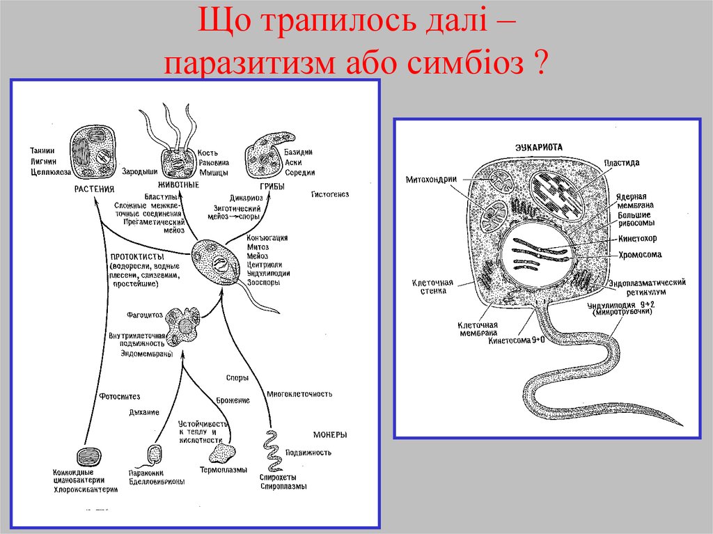 Що трапилось далі – паразитизм або симбіоз ?