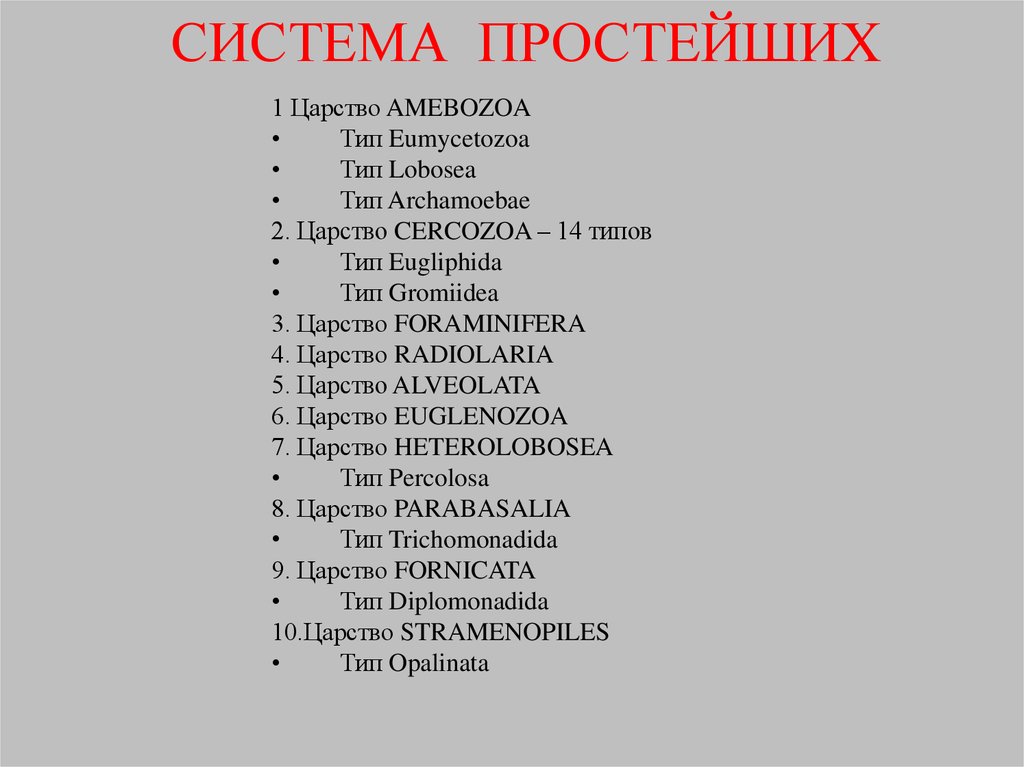 СИСТЕМА ПРОСТЕЙШИХ