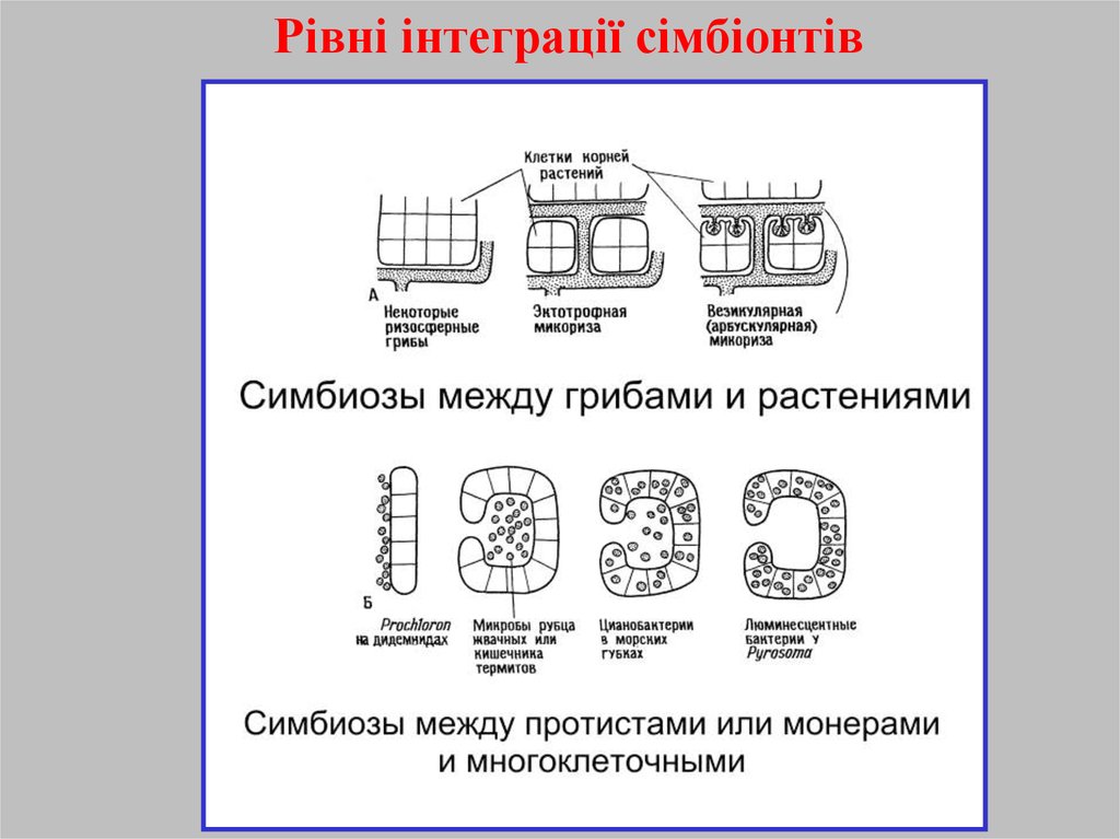 Рівні інтеграції сімбіонтів