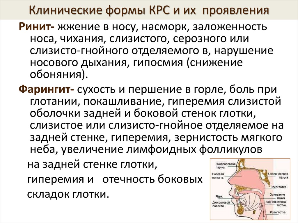 Особенностью инфекционного заболевания является. Клинические формы КРС И их проявления.