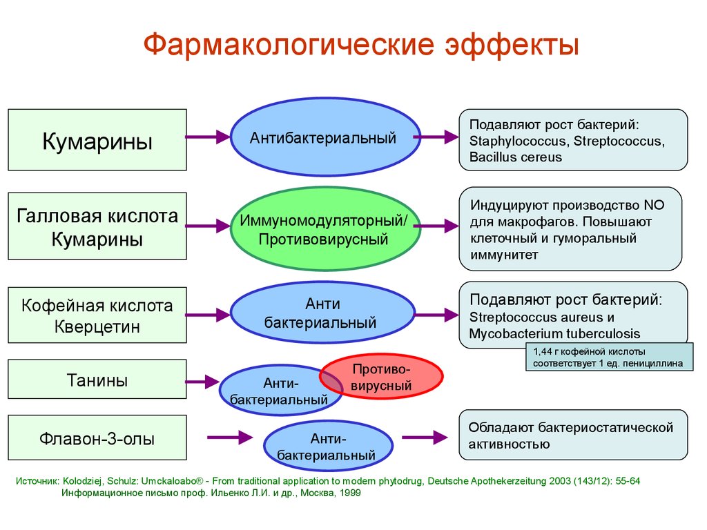 english online student