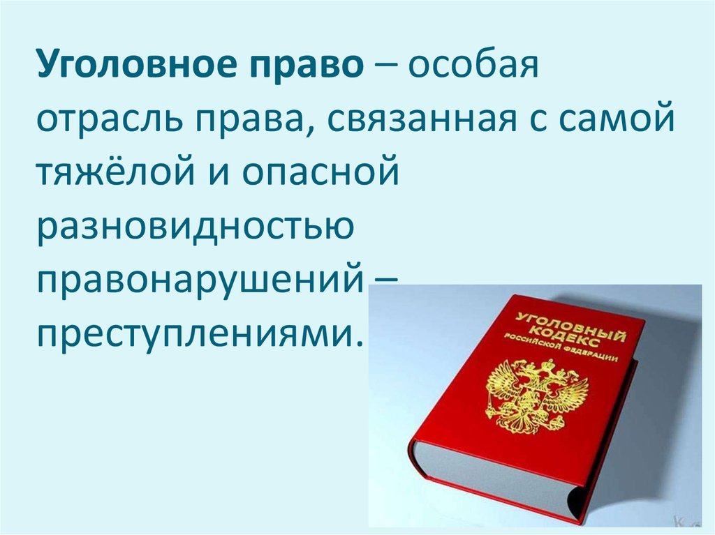 Уголовное право как отрасль права план