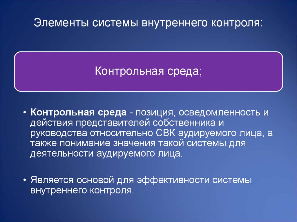 Ревизия презентация. Элементы системы внутреннего контроля. Элементы внутренней контроля контрольная среда. Элементы контрольной среды в аудите. Принципы контрольной среды.