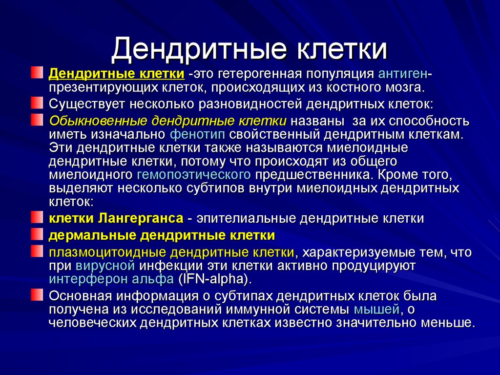 Имевшие первоначально. Дендритные клетки иммунной системы. Функции дендритных клеток иммунология. Миелоидные дендритные клетки. Миелоидные дендритные клетки функция.