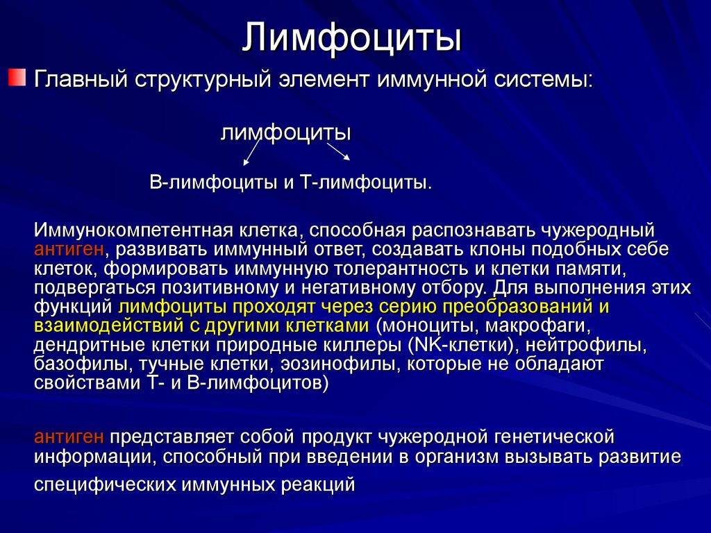 Лимфоциты это. Клон лимфоцитов это. Т-лимфоциты иммунной системы. Система т лимфоцитов. Главная функция лимфоцитов.