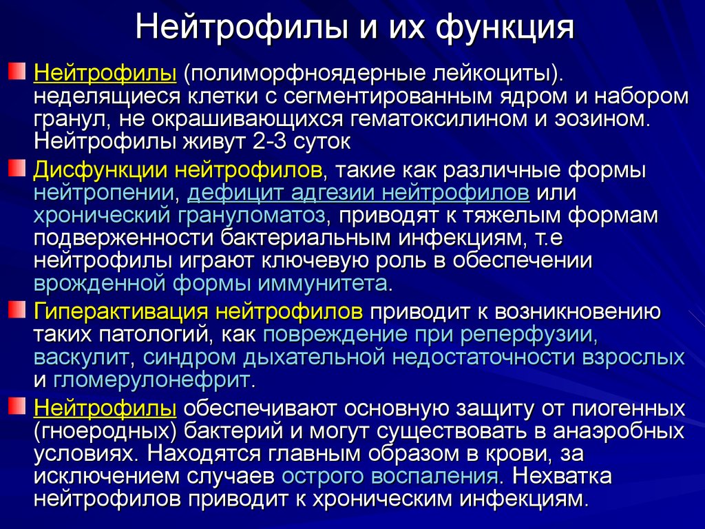 Нейтрофилы это. Функции нейтрофилов. Нейтрофилы и их функции. Основные функции нейтрофилов. Главная функция нейтрофилов.