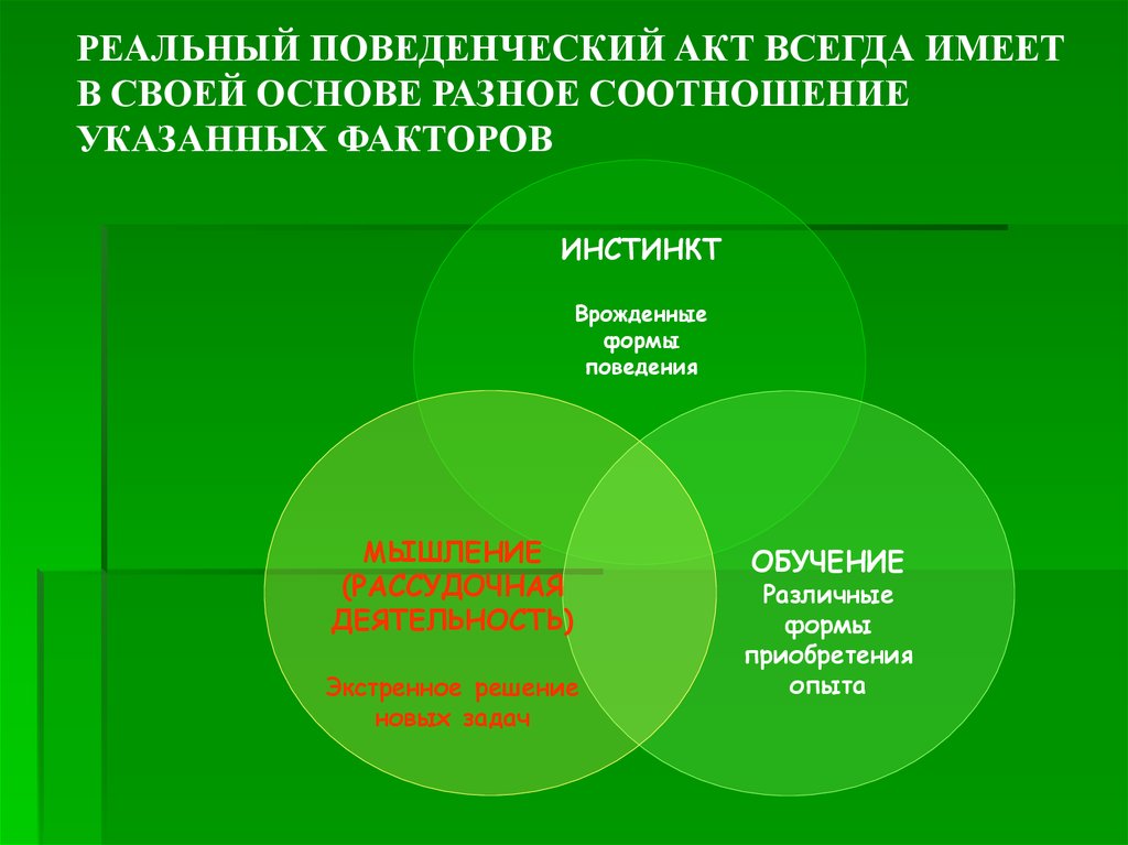 Разное соотношение. Поведенческий акт. Поведенческий акт животных. Основные типы поведенческих актов. Протокол поведенческий.