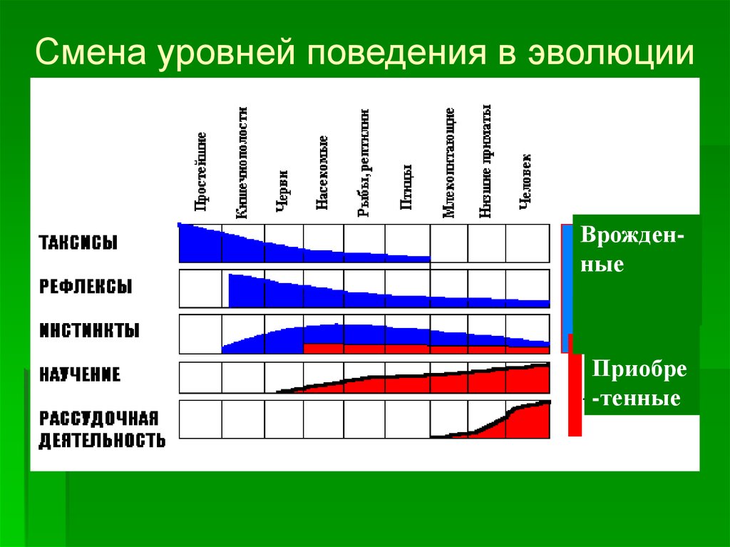 Уровни поведения человека. Таблица уровни поведения. Поведенческий уровень. Разные уровни поведения.