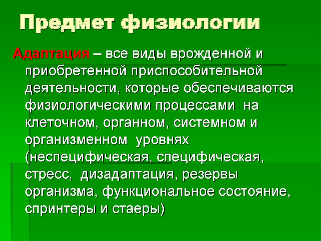 Физиологические исследования