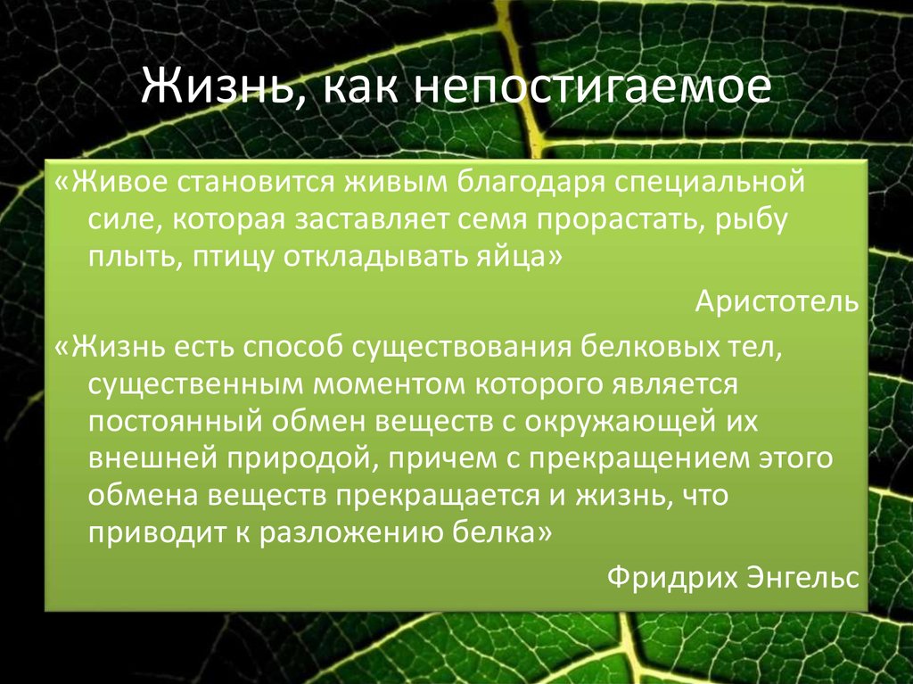 Сущность и свойство живого. Жизнь это в биологии 10 класс. Сущность и свойства живого. Жизнь и свойства живого. Жизнь определение биология 10 класс.