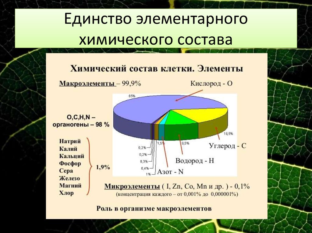 Единство химического строения. Единство химического состава. Единство элементного химического состава. Единство химического состава живых организмов.