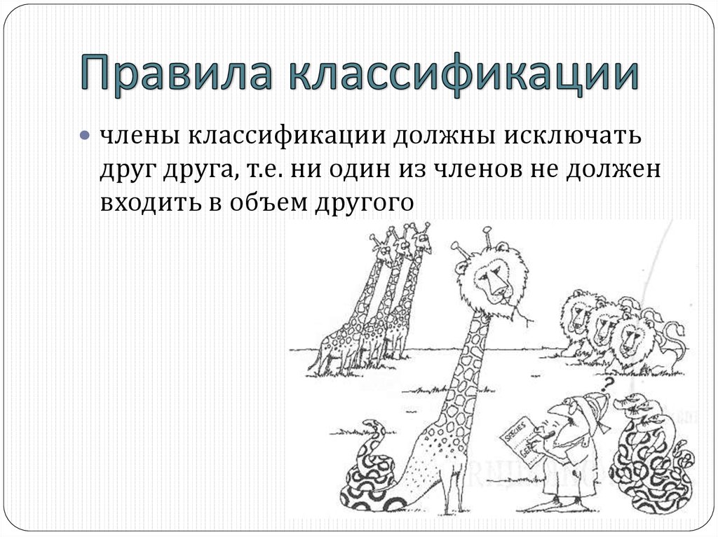 Правила классификации