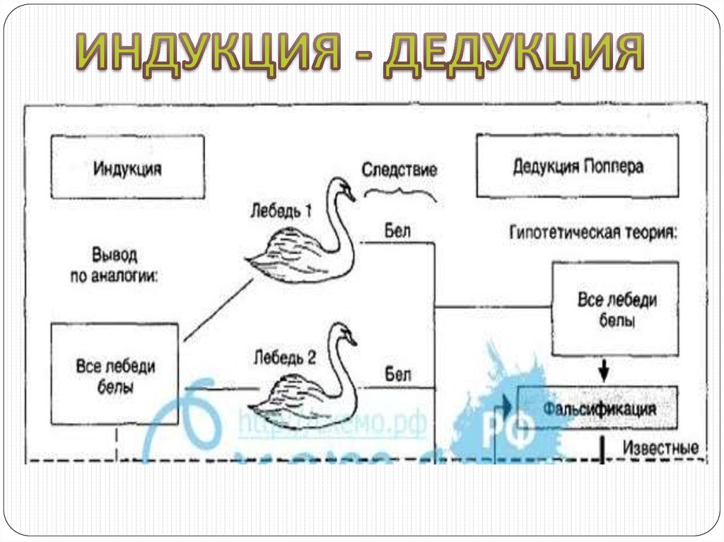 Индукция дедукция. Метод дедукции схема. Дедукция и индукция. Индуктивный метод пример. Дедуктивный и индуктивный метод примеры.