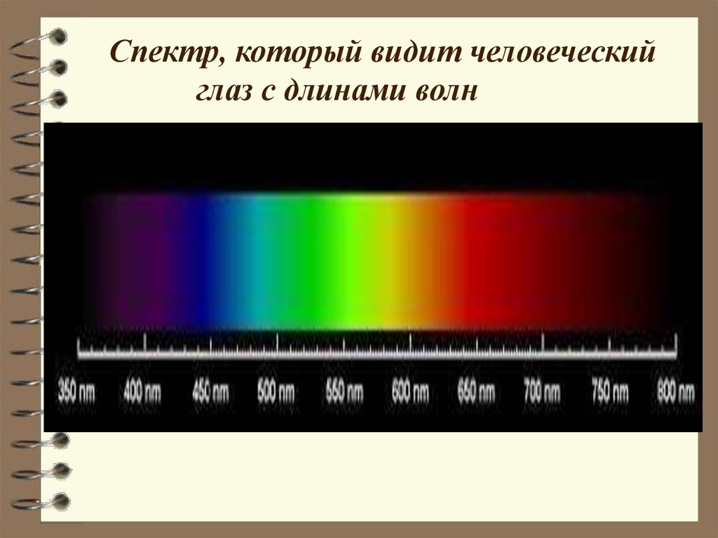 Непрерывный спектр белого света является. Спектр света. Диапазон светового спектра. Длины волн видимого света. Спектр излучения света.