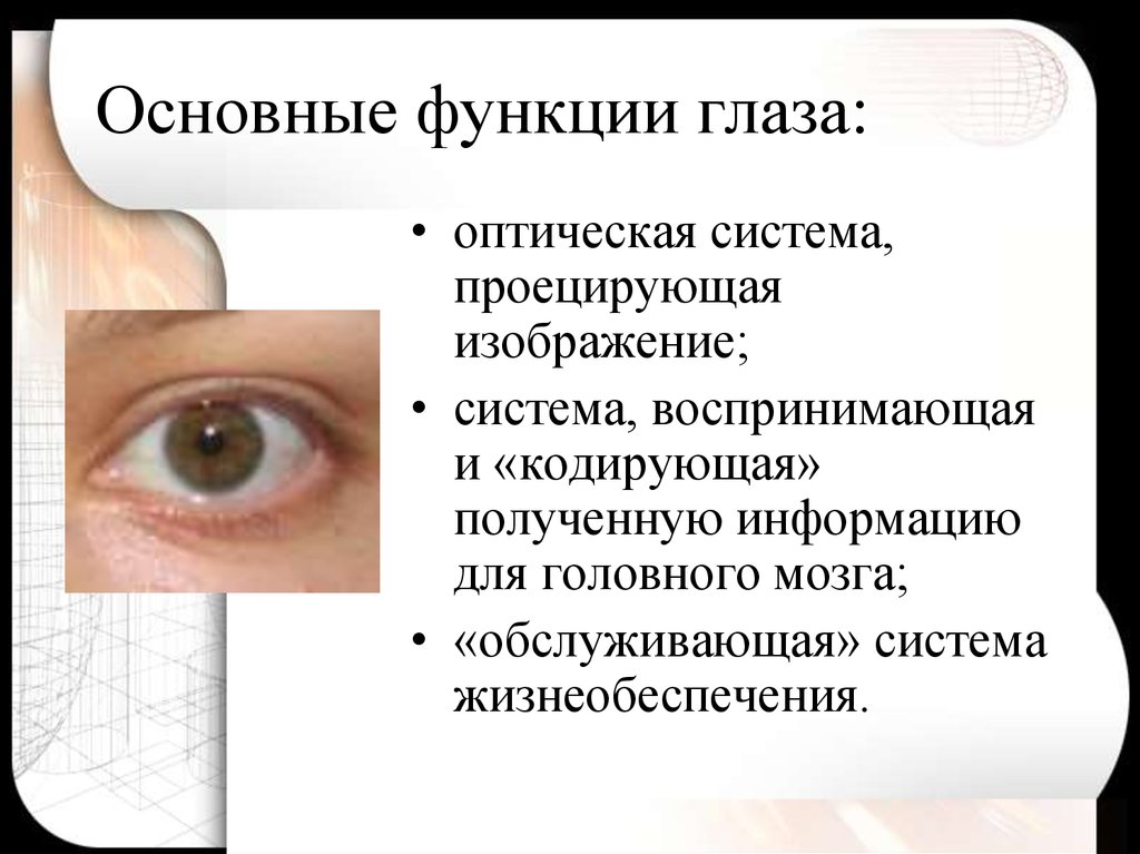Какую информацию дают глаза. Функции глаза. Основные функции глаза. Оптическая система глаза функции. Основная функция глаза.