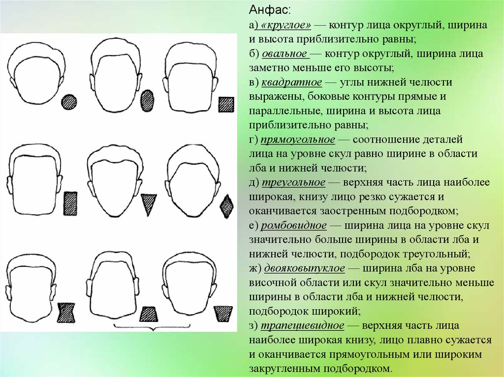 Виды лбов. Форма головы габитоскопия. Лоб криминалистика. Форма лба криминалистика. Форма лица габитоскопия.
