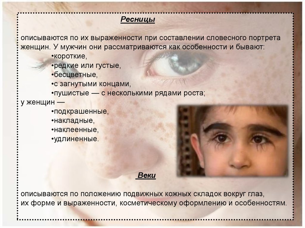 Словесный портрет человека по фото онлайн