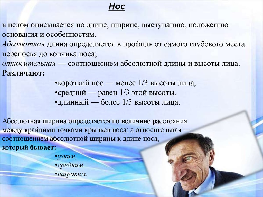 Абсолютная длина. Основание носа по положению. Нос средней длины ширины выступания и глубины переносья. Нос по выступанию.