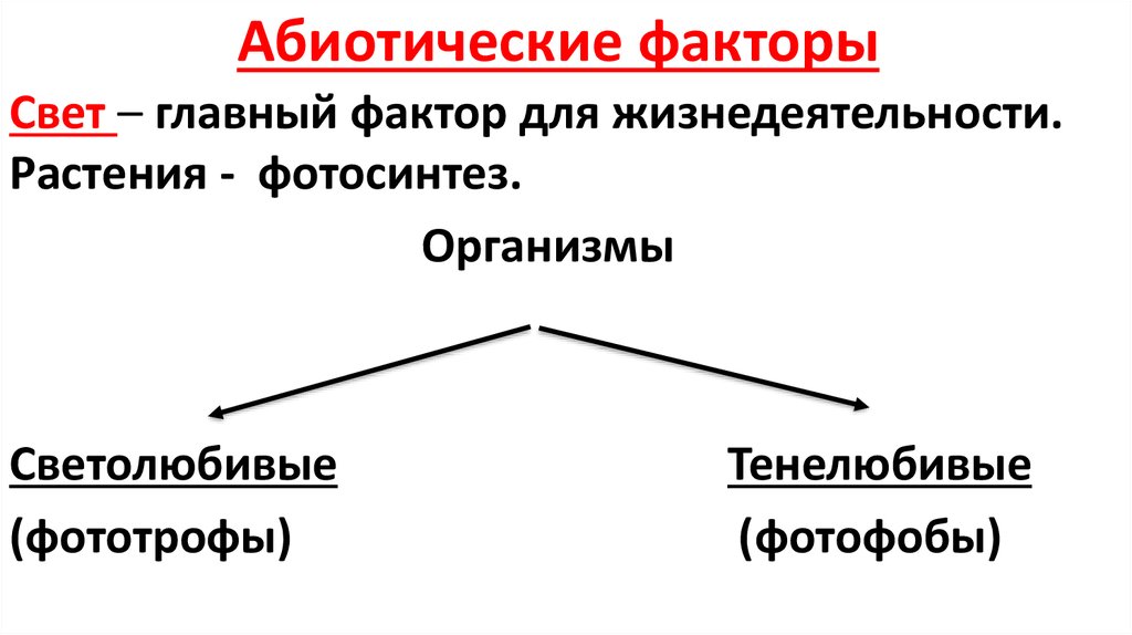 Экологические факторы среды 5 класс презентация