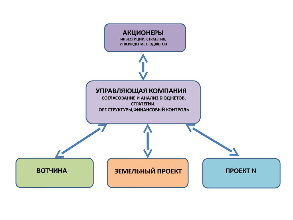 Вотчина управление. Структура вотчины. Инвестор и акционер различия.