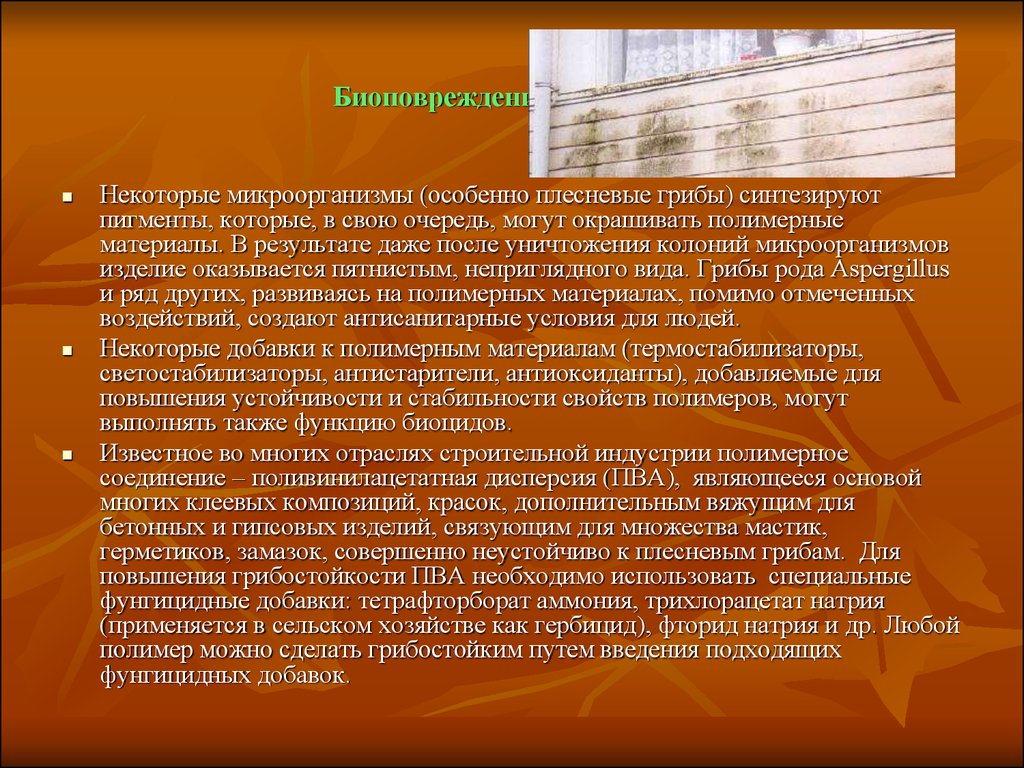 В свою очередь может вызвать. Биоповреждения полимеров. Биоповреждения строительных материалов. Биокоррозия биологическая коррозия. Биоразрушения микроорганизмов.