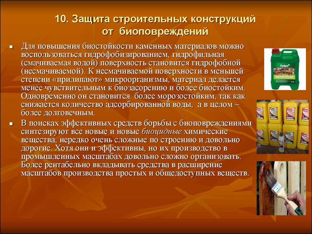 Защита материала. Строительные конструкции способы защиты. Способы защиты древесины от биоповреждений. Биоповреждения строительных материалов. Биокоррозия деревянных конструкций.