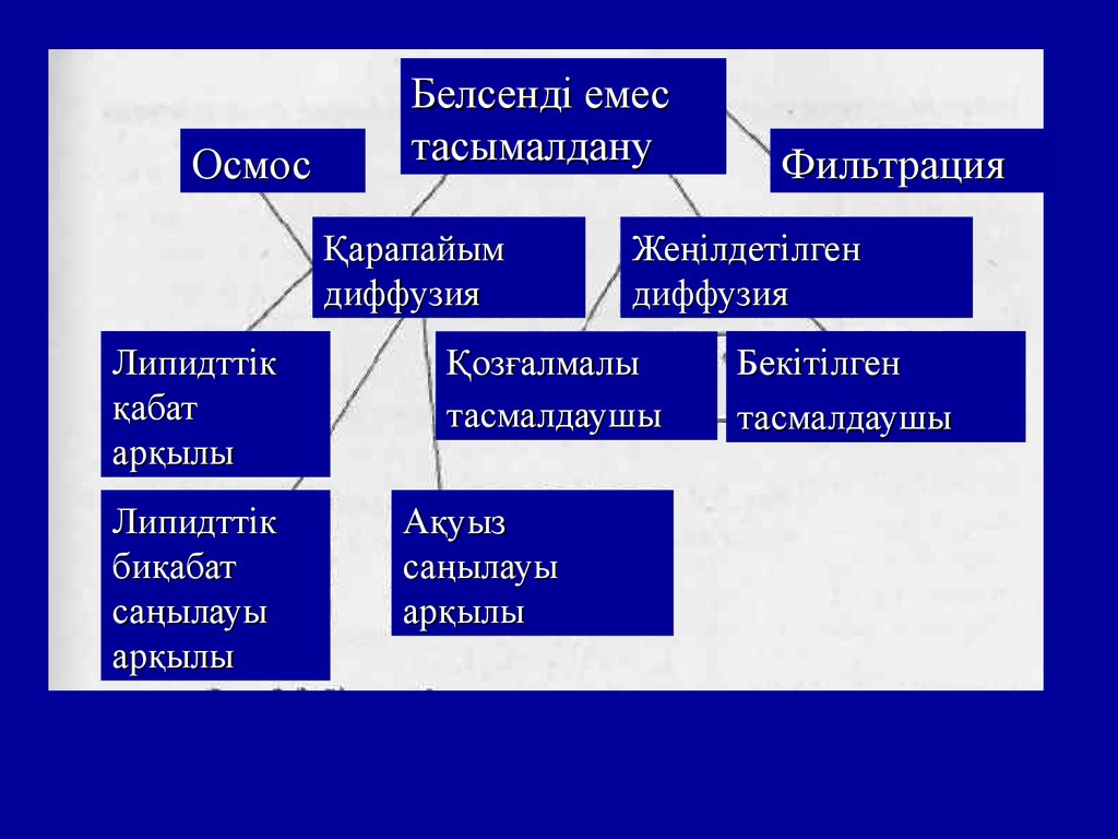 Мембраналық рецепторлар арқылы гормондық сигналдардың берілуі