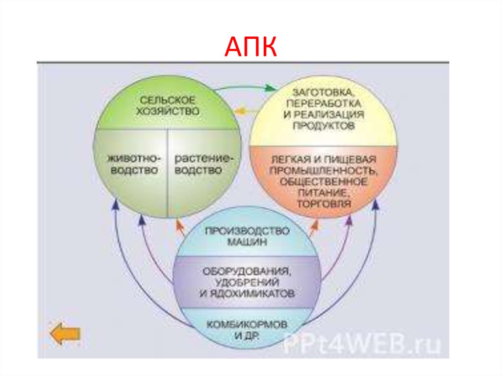 Роль хозяйства. Схема агропромышленного комплекса России. Структура агропромышленного комплекса России. Схема состав АПК России. Структура АПК России схема.