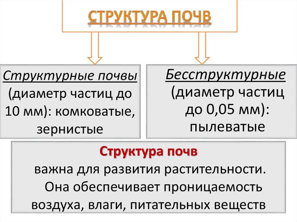 Бесструктурная почва