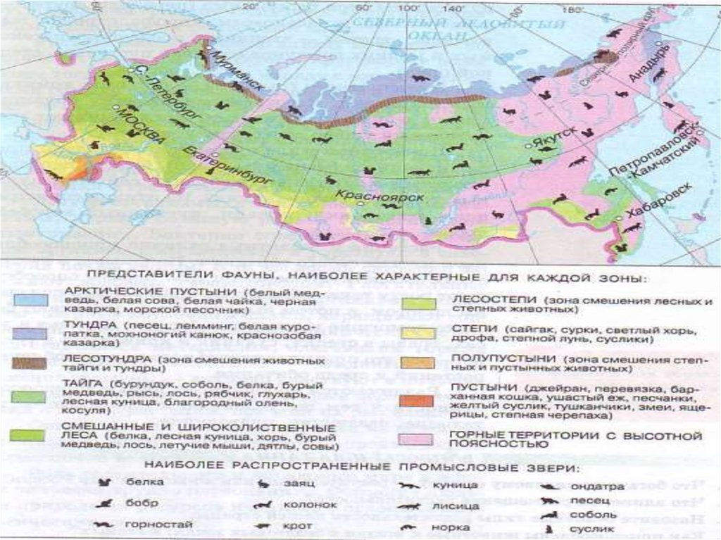 География россии кратко и понятно самое важное презентация