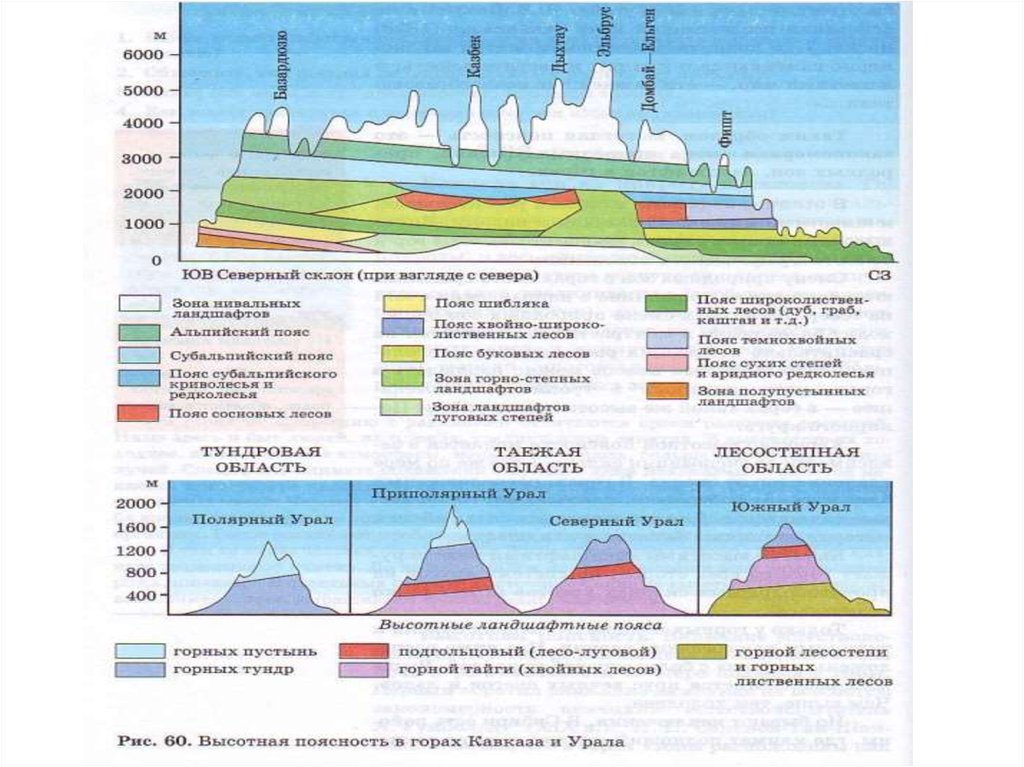 Высотная поясность кавказских гор и уральских. Высотная поясность Кавказа. Высотная поясность большого Кавказа. Кавказские горы Высотная поясность. Высотная поясность Северного Урала.