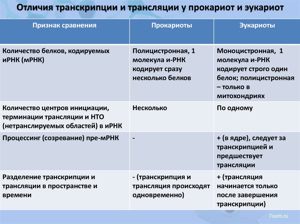 Таблица сравнения процессов. Сравнительная таблица транскрипции и трансляции. Отличие транскрипции и трансляции таблица. Синтез белка у прокариот и эукариот сходства и различия. Транскрипция и трансляция у прокариот и эукариот таблица.