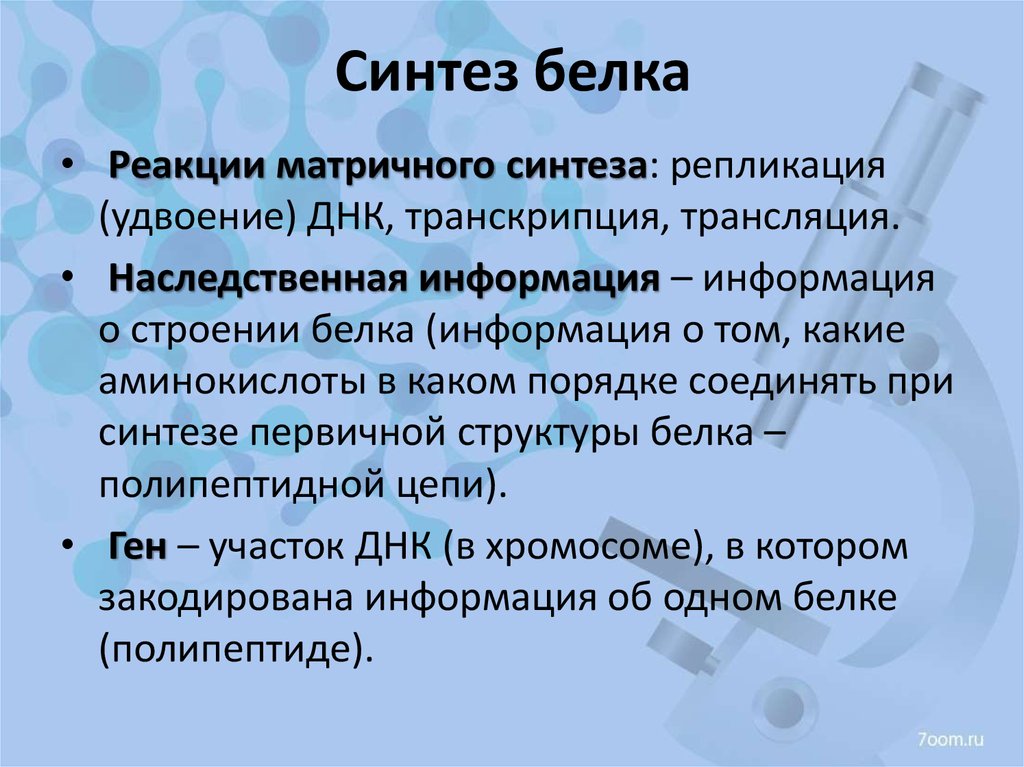 Синтез белков происходит. Синтез белка. Синтез белков. Что такое синтом белка. Синтез белка это в биологии.