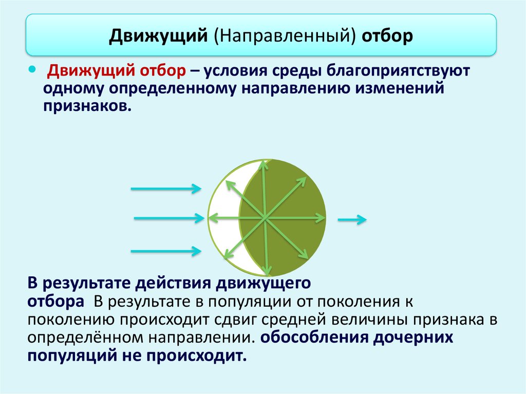 В каком направлении изменяются. Движущий отбор направлен на. Направленный отбор. Условия среды движущего. Условия среды при движущем отборе.