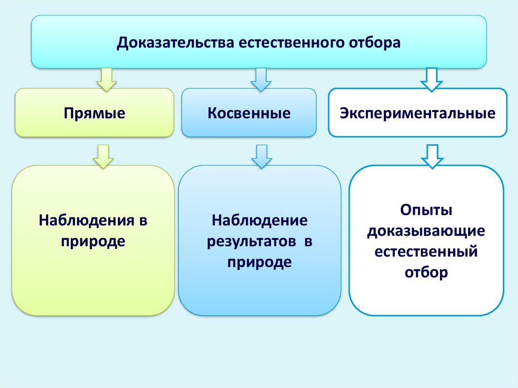 Механизмы эволюции. Доказательства действия естественного отбора. Косвенные доказательства естественного отбора. Экспериментальные доказательства естественного отбора. Прямые доказательства естественного отбора.