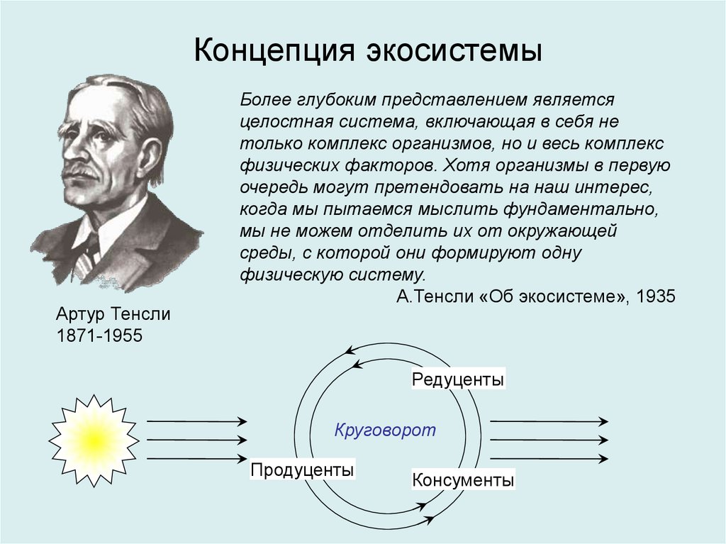 Концепция системы. Артур Тенсли экосистема. Артур Тенсли (1871 - 1955). Понятие экосистема Артур Тенсли. Тенсли вклад в биологию.