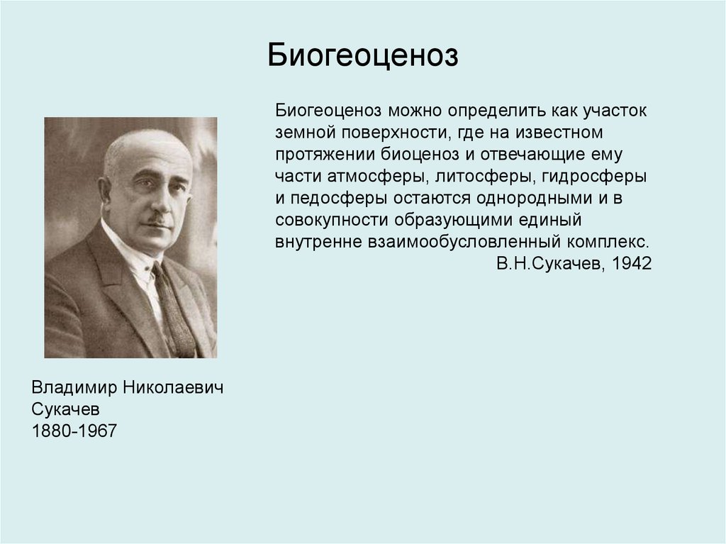 Автором учения. Биогеоценоз Сукачев Владимир Николаевич. Биогеоценоз Сукачев. Учение в.н. Сукачева о биогеоценозе. Сукачев понятие о биогеоценозе.