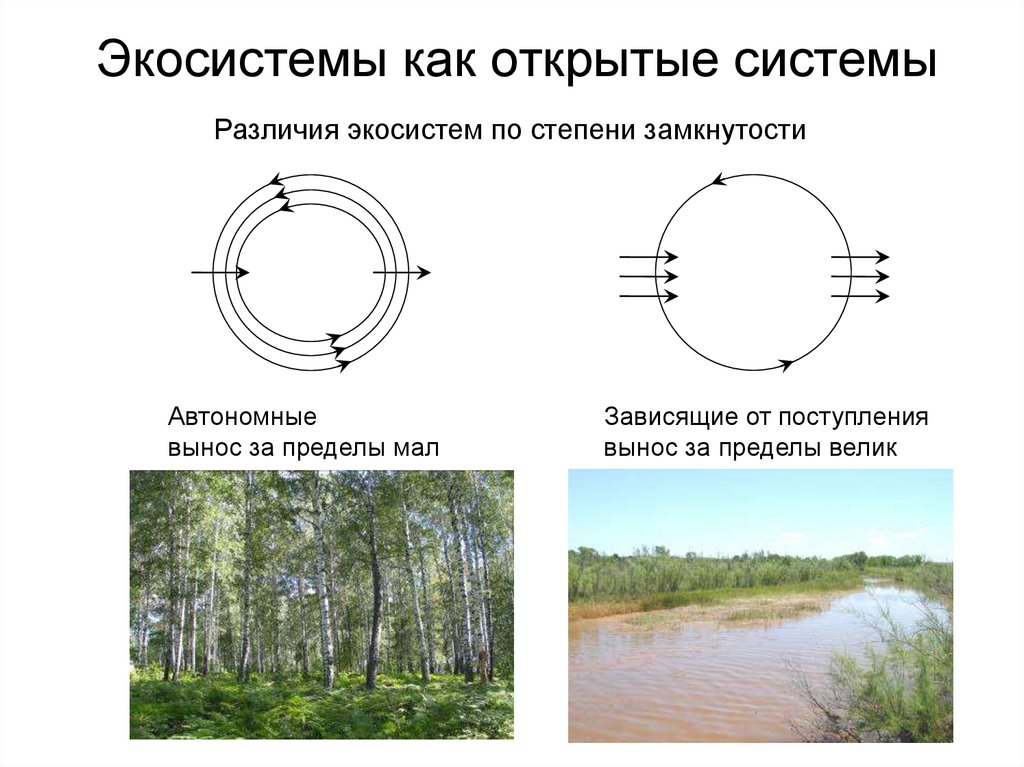 Открытый замкнутый. Открытость экосистемы. Экосистема открытая система. Открытые экологические системы. Открытая экологическая система.