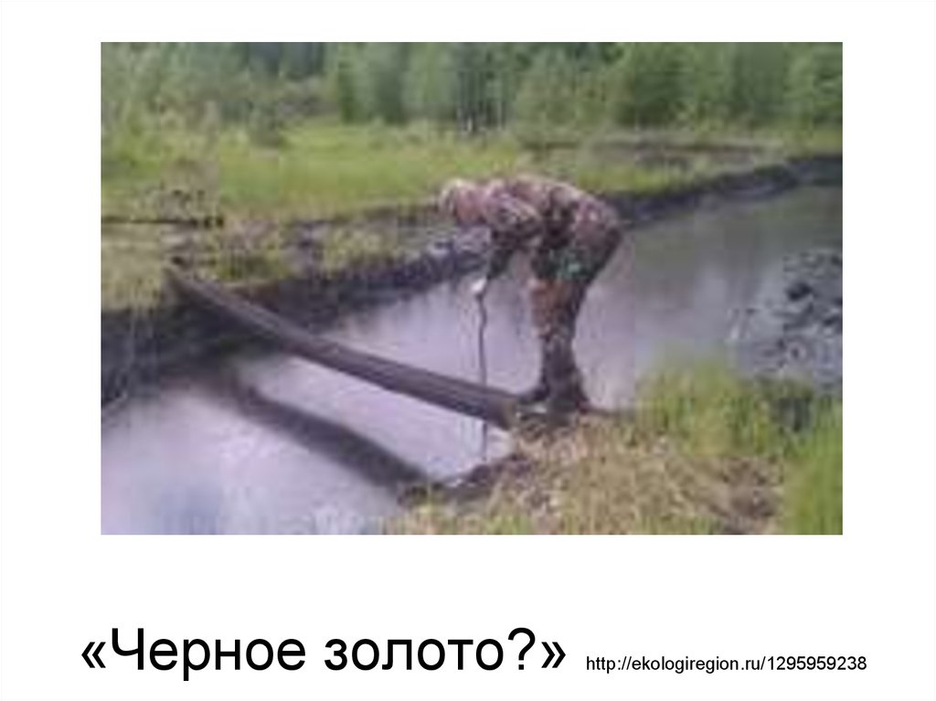 «Черное золото?» http://ekologiregion.ru/1295959238